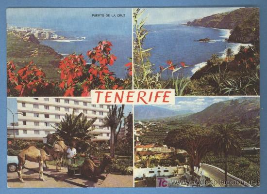 Postales: Tenerife - Foto 1