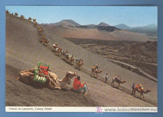 Postales: Lanzarote - Editorial John Hinde Original - Foto 1