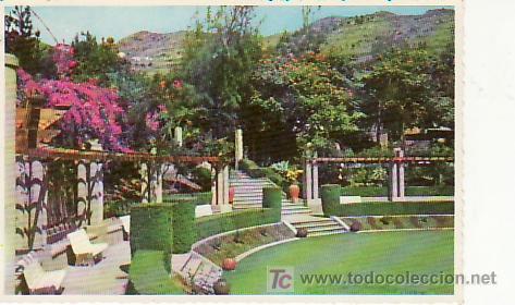 Postales: JARDINES DEL HOTE MENCEY.SANTA CRUZ DE TENERIFE.NO CIRCULADA.