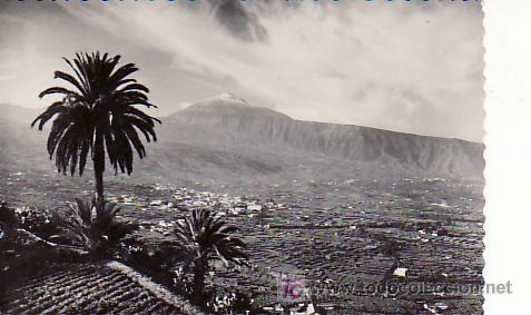 Postales: VALLE DE LA OROTAVA.N&ordm; 681 TENERIFE.NO CIRCULADA.EDICIONES MONTA&Ntilde;ES.