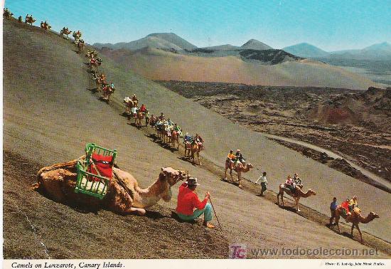 Postales: LANZAROTE - Foto 1