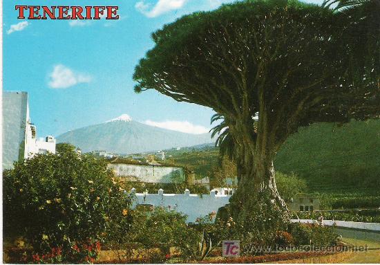 Postales: TENERIFE - Foto 1