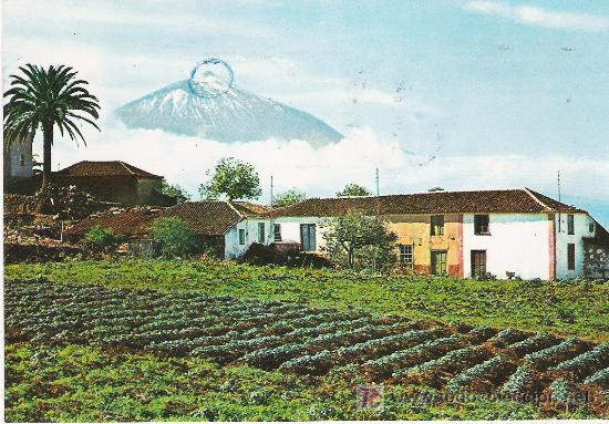 Postales: TEIDE Y PAISAJE TIPICO - Foto 1