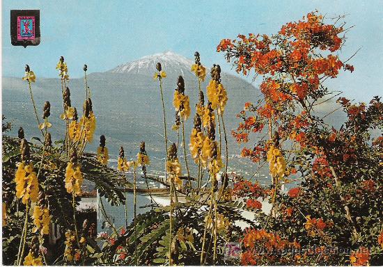 Postales: TENERIFE - Foto 1