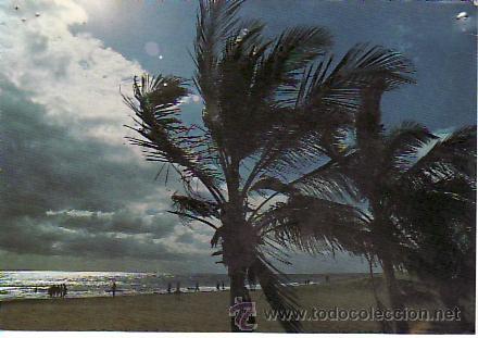 Postales: PLAYA DE SAN AGUSTIN. GRAN CANARIA. MAS POSTALES EN RASTRILLOPORTOBELLO