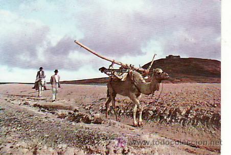 Postales: LANZAROTE.EL CAMELLO- MAS COLECCIONISMO Y POSTALES EN RASTRILLOPORTOBELLO