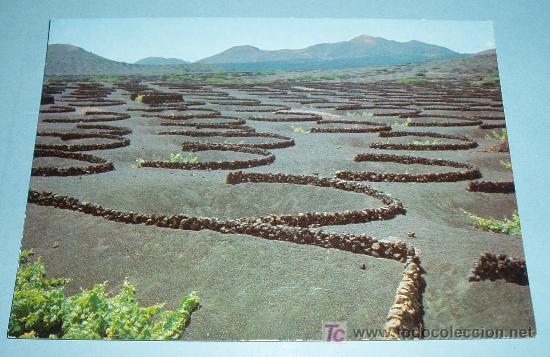 Postales: VI&Ntilde;AS DE LA GERIA. LANZAROTE. SIN CIRCULAR - Foto 1