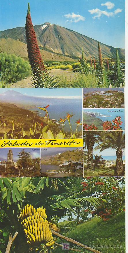 Postales: LOTE DE 3 POSTALES TENERIFE NORTE. MAS COLECCIONISMO EN RASTRILLOPORTOBELLO