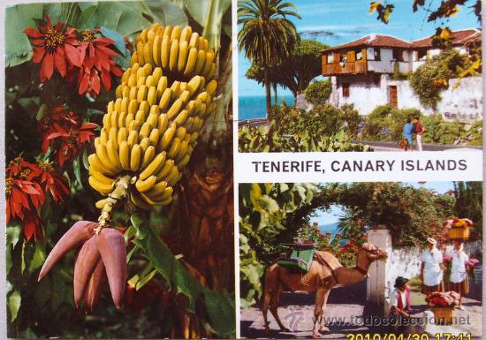 Postales: TENERIFE Multivista - Foto 1