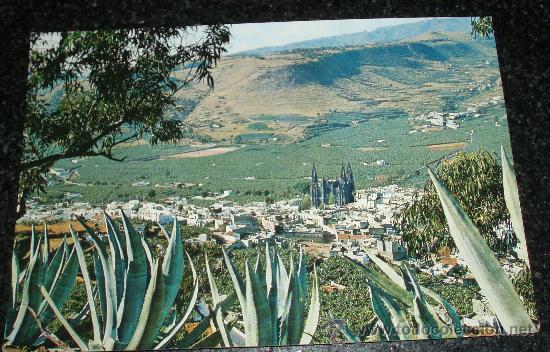 Postales: islas canarias  ciudad de aruca