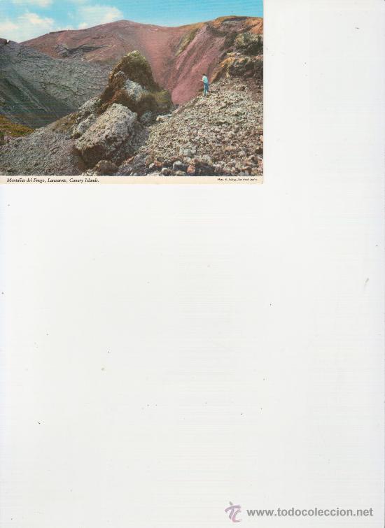 Postales: LANZAROTE.POSTALES Y MAS COLECCIONISMO EN GENERAL EN RASTRILLOPORTOBELLO