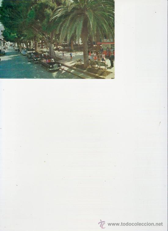 Postales: PLAZA DEL CHARCO,PUERTO DE LA CRUZ.TENERIFE.MAS COLECCIONISMO EN GENERAL EN RASTRILLOPORTOBELLO