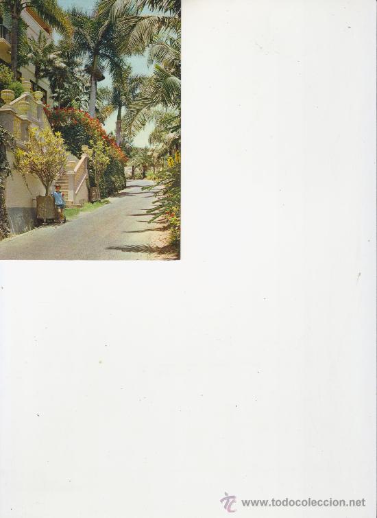 Postales: RESIDENCIA PARTICULAR.. SANTA CRUZ. TENERIFE.VEA MAS COLECCIONISMO EN RASTRILLOPORTOBELLO