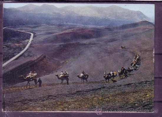 Postales: MONTA&Ntilde;A DE FUEGO - CARAVANA DE CAMELLOS - LANZAROTE