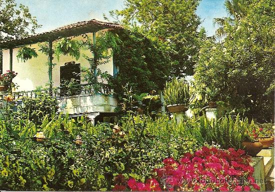 Postales: TENERIFE - RINCON TIPICO - Foto 1
