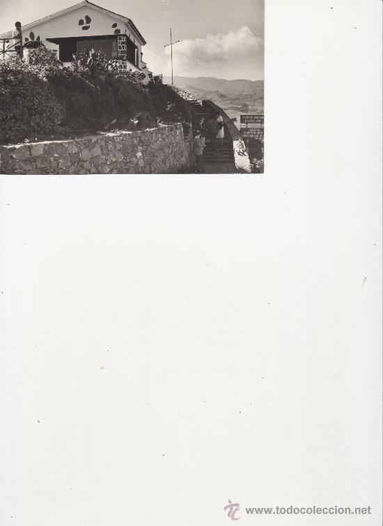 Postales: MIRADOR DEL PINO DE BANDAMA.LAS PALMAS-.MAS COLECCIONSIMO EN RASTRILLOPORTOBELLO