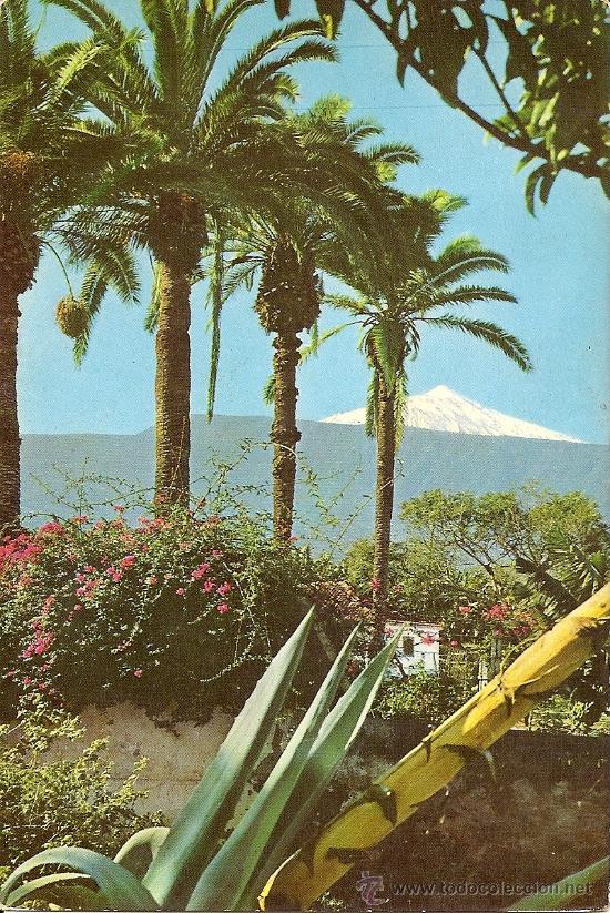 Postales: EL TEIDE (TENERIFE) - VISTA DEL VOLCAN DESDE PUERTO DE LA CRUZ