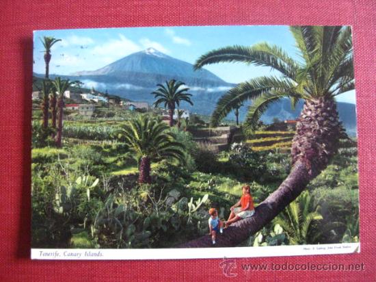 Postales: TENERIFE.  REF.  AH- 418 - Foto 1