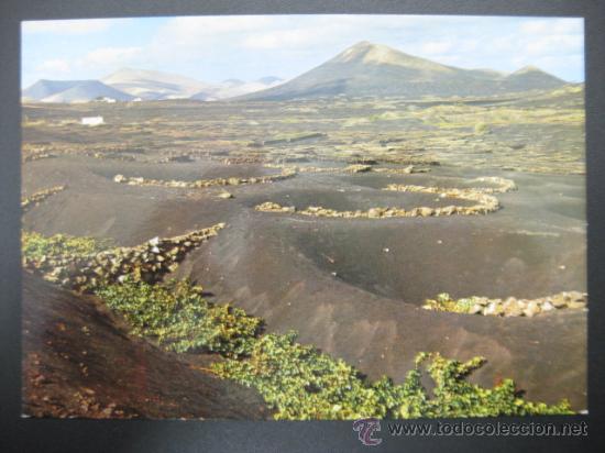 Postales: LANZAROTE - REF.: S-559 - Foto 1