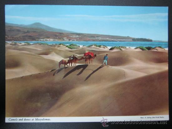 Postales: MASPALOMAS, GRAN CANARIA - REF.: S-630 - Foto 1