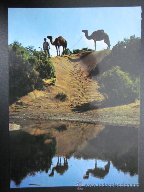 Postales: MASPALOMAS, GRAN CANARIA - REF.: S-633 - Foto 1