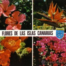 Postales: Nº 8141 FLORES DE LAS ISLAS CANARIAS