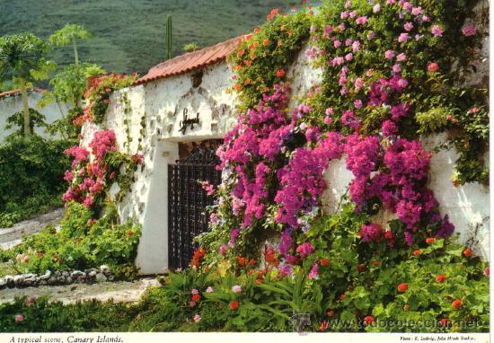 Postales: N&ordm; 8164 ISLAS CANARIAS - Foto 1