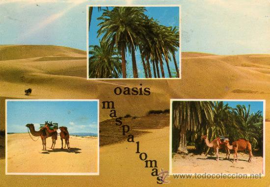 Postales: OASIS MASPALOMAS N&ordm; 6513  ED. ISLAS ESCRITA CIRCULADA SELLO SIN MATASELLAR A&Ntilde;OS 70