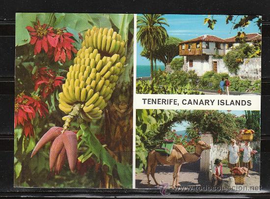 Postales: TENERIFE. ISLAS CANARIAS - Foto 1