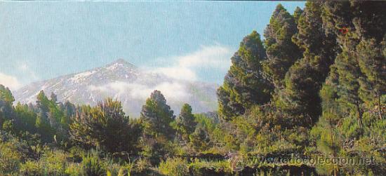 Postales: Tenerife - Foto 1