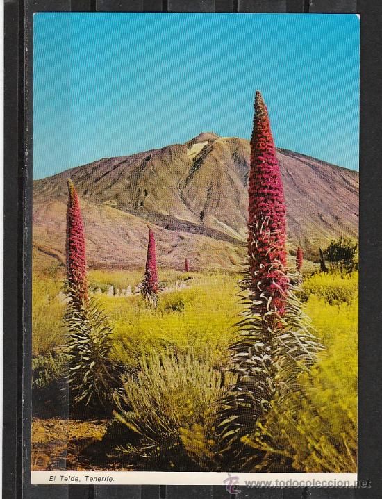 Postales: EL TEIDE. TENERIFE - Foto 1