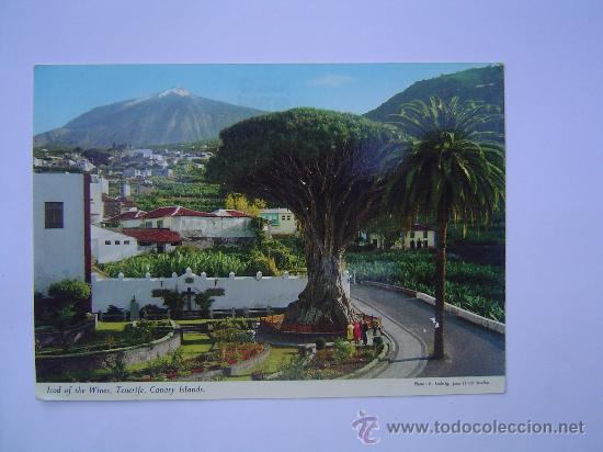 Postales: Postal de Icod de los vinos - Foto 1
