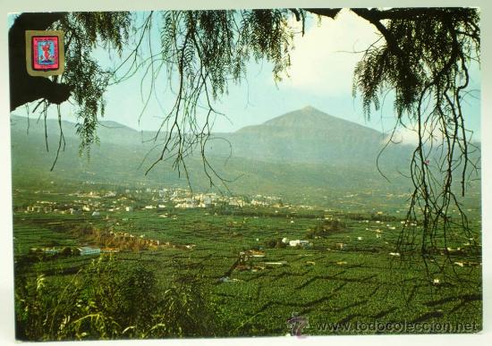 Postales: Postal Valle de la Orotava Vista parcial Ed Escudo de Oro a&ntilde;os 60 circulada