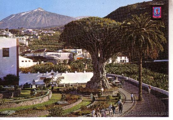 Postales: ICOD DE LOS VINOS - - Foto 1