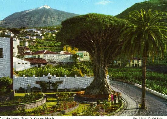Postales: TENERIFE EL TEIDE SIN CIRCULAR - Foto 1