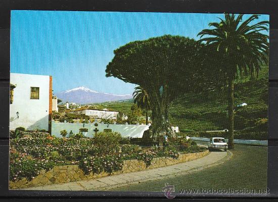 Postales: 442 ICOD. DRAGO MILENARIO - Foto 1