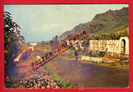 Postales: ISLAS CANARIAS, CARRETERA,   P65327 - Foto 1
