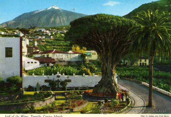 Postales: ICOD DE LOS VINOS SIN CIRCULAR - Foto 1