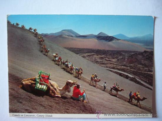 Postales: LANZAROTE. BENITEZ HERMANOS - Foto 1