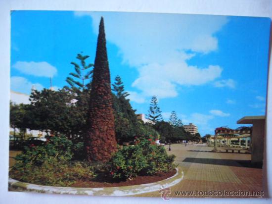 Postales: ARRECIFE. N&ordm; 2008 . LAS AFORTUNADAS. ESCRITA Y CIRCULADA