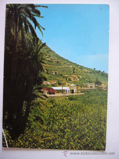 Postales: GOMERA. N&ordm; 19. ARTH. ESCRITA - Foto 1
