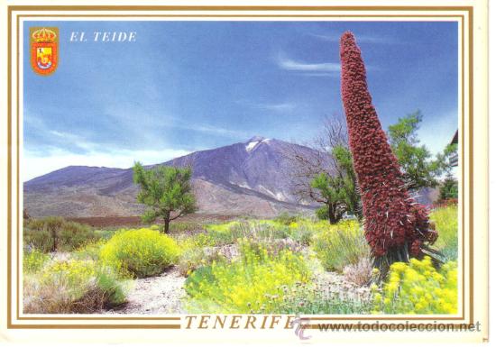 Postales: N&ordm; 9638 TENERIFE EL TEIDE - Foto 1