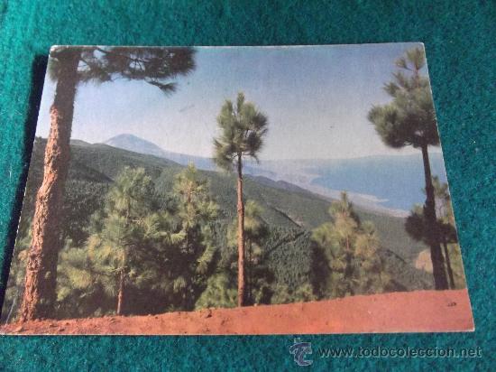 Postales: TENERIFE-E9-EL TEIDE--NO ESCRITA-EL TEIDE DESDE LA ESPERANZA-N&ordm;116-DL. T.F.N&ordm;92-1964