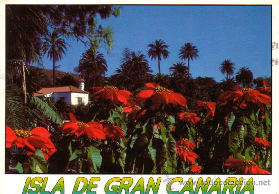 Postales: N&ordm; 10172 TAFIRA GRAN CANARIA