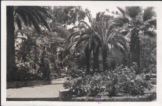 Postales: TENERIFE.- FOTO BAENA