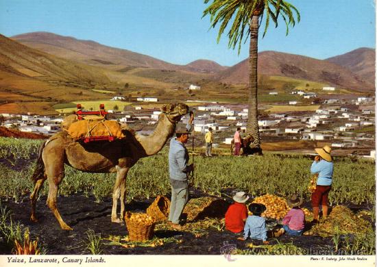 Postales: N&ordm; 10742 LANZAROTEEL VALLE DE YAIZA