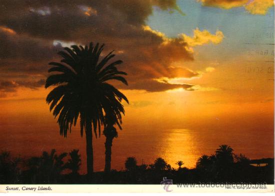 Postales: N&ordm; 10770 ISLAS CANARIAS - Foto 1