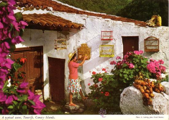 Postales: N&ordm; 10999 TENERIFE - Foto 1