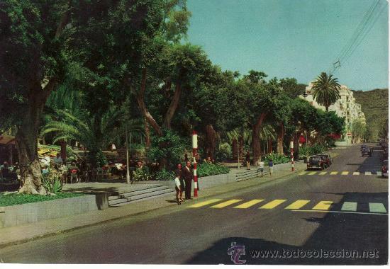 Postales: PARQUE GARCIA SANABRIA Y CALLE MENDEZ NU&Ntilde;EZ- SANTA CRUZ DE TENERIFE.CANARY ISLANDS