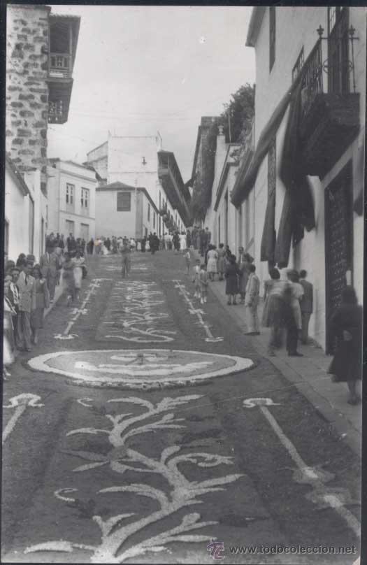 Postales: SANTA CRUZ DE TENERIFE.- ALFOMBRAS DE FLORES EN LA FIESTA DEL CORPUS